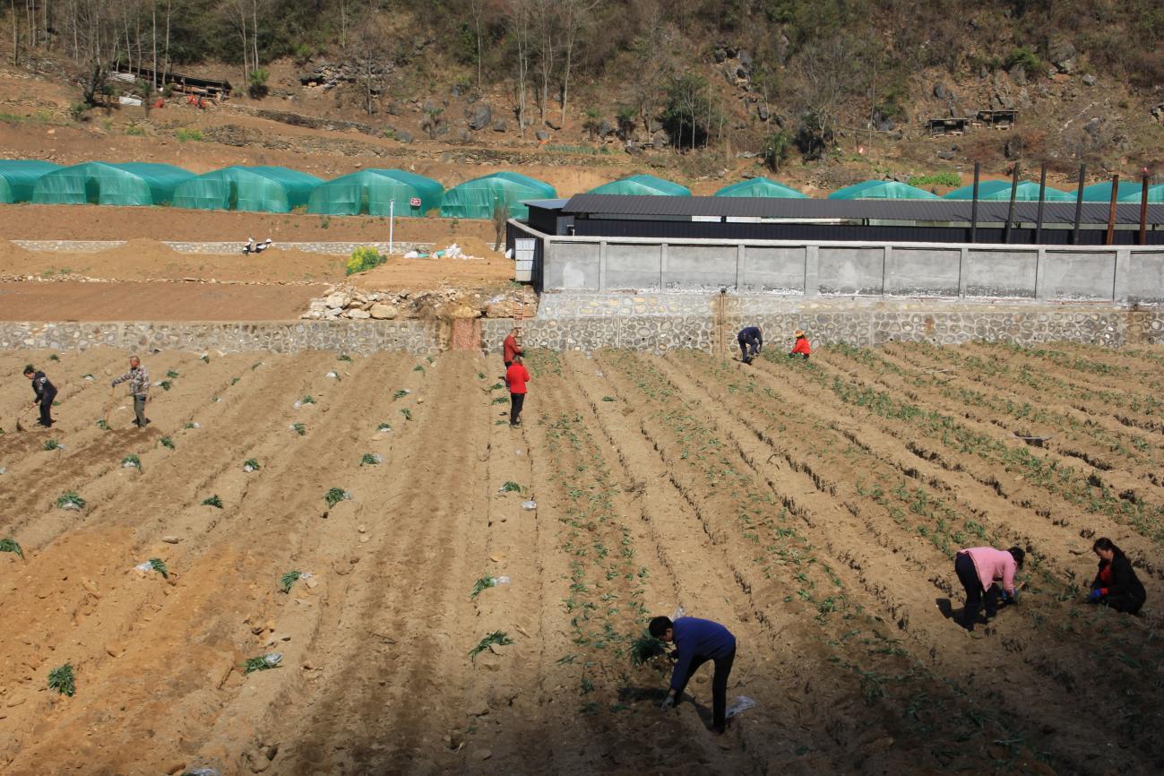 5efb92ed5fe828d0ec2decf70cb3670