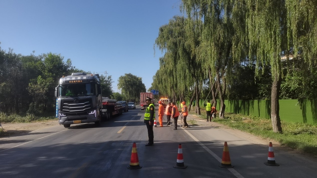 d330c22a69d6c9a84ebed1f1bd7a93eb