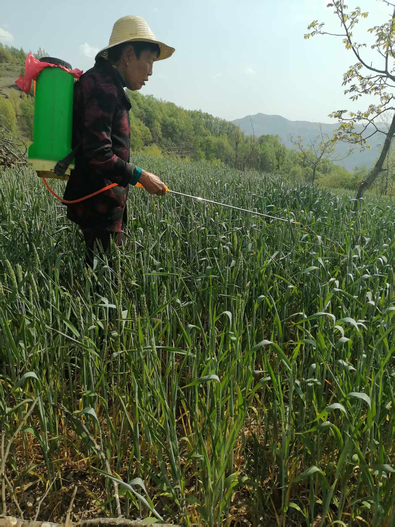 22f26dd4d40cdbce2af451ba07a264b