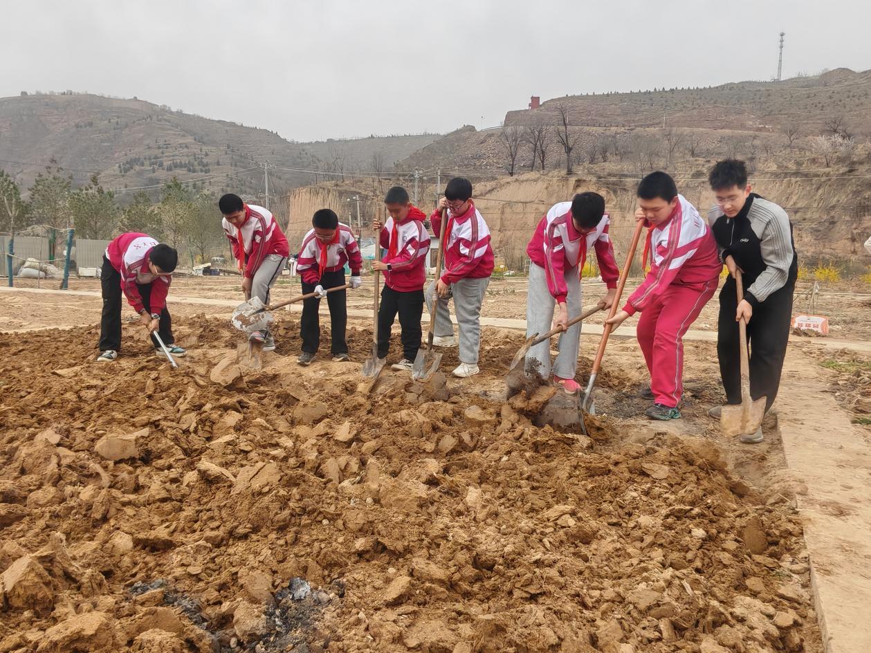 微信图片_20250430221855