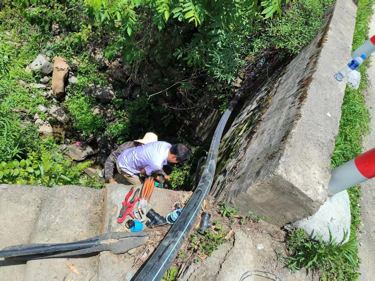 4869ab905c0c7139e7102d18f39c786