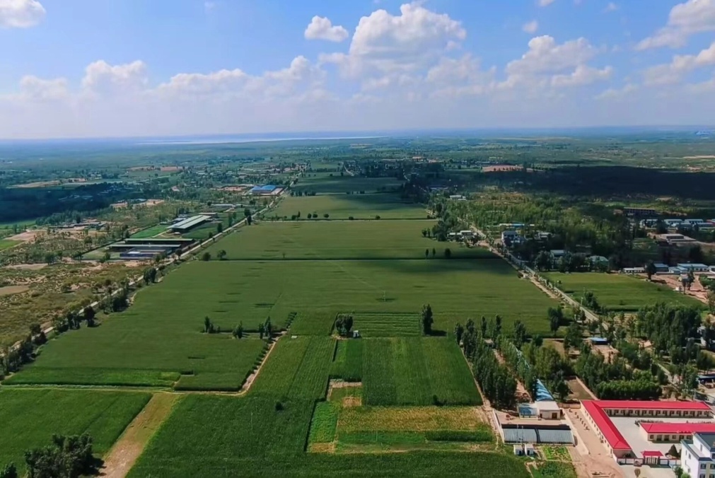 C:\Users\ADMINI~1\AppData\Local\Temp\WeChat Files\2684f78b022f62670326aa1bf2bda00.jpg