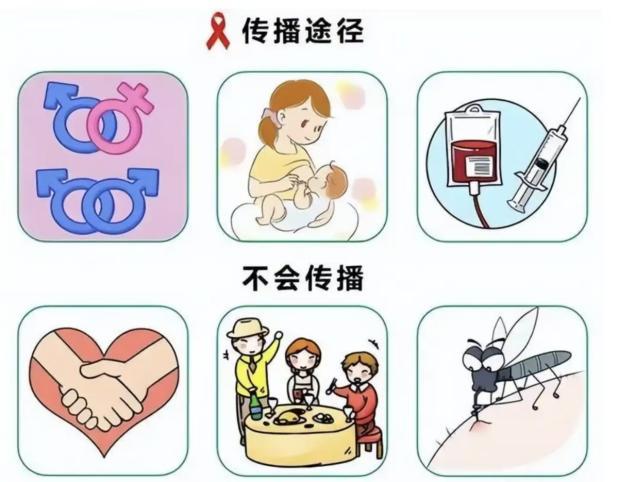 daab843dc8e1f9dc88efe7cdca01bb41