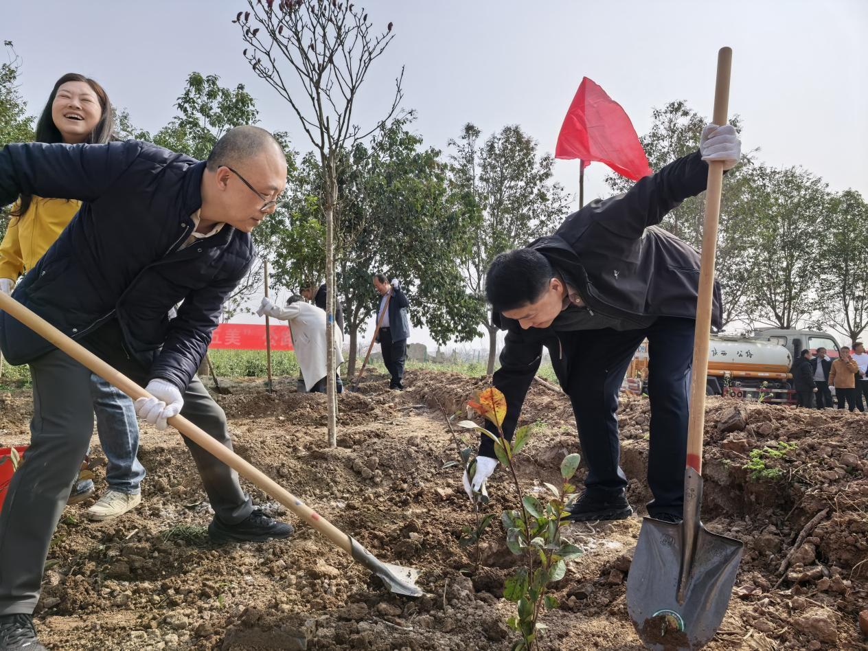 2956850af0084f5e30774b38a27f277d