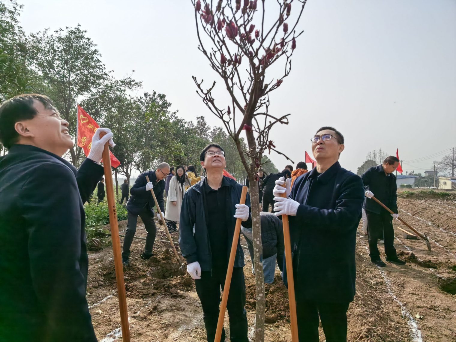 a8986177d2f6b0216fd465eabd74d167