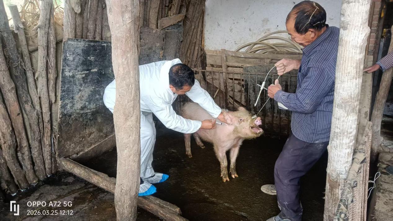 3ea5d845f87d95f6aa2d18562207799