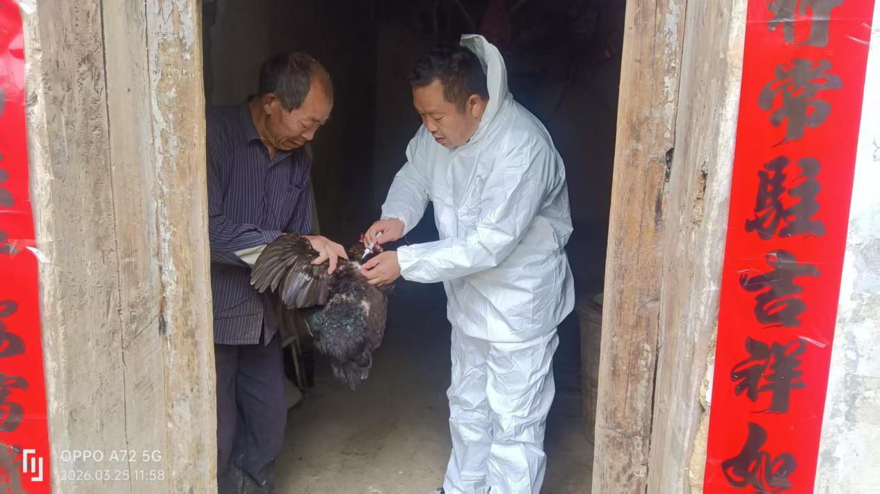 c7dac47a47855554a7acc4e16e4fed8