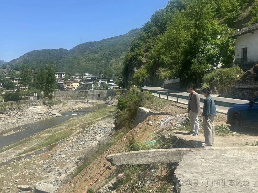 IMG_256