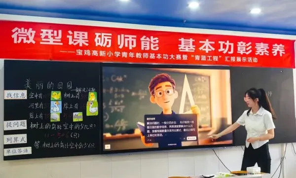 IMG_256